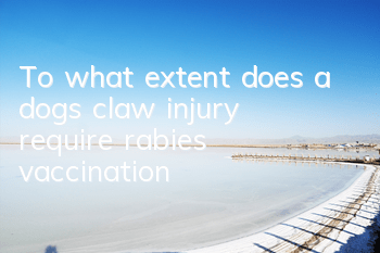 TTo what extent does a dog's claw injury require rabies vaccination?