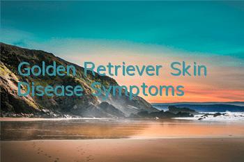 TGolden Retriever Skin Disease Symptoms