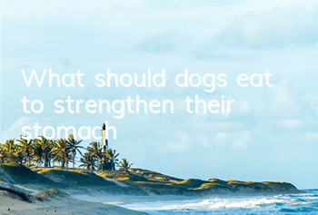 What should dogs eat to strengthen their stomach?