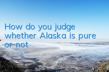How do you judge whether Alaska is pure or not?