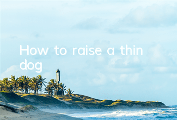 How to raise a thin dog