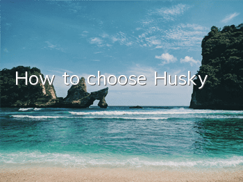 How to choose Husky