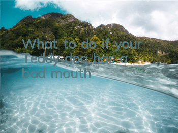 What to do if your Teddy dog ​​has a bad mouth