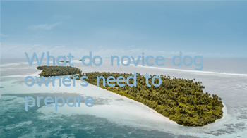 What do novice dog owners need to prepare?