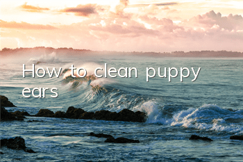 How to clean puppy ears