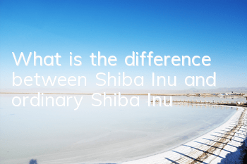 What is the difference between Shiba Inu and ordinary Shiba Inu?