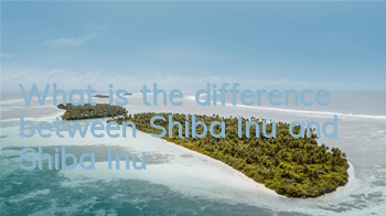 What is the difference between Shiba Inu and Shiba Inu?