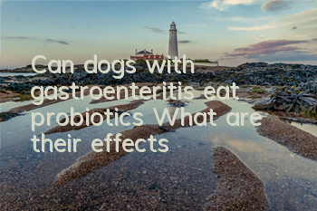 TCan dogs with gastroenteritis eat probiotics? What are their effects?