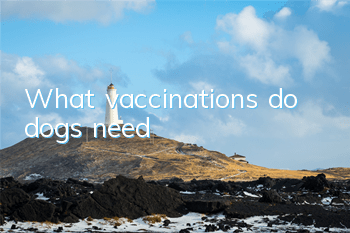 TWhat vaccinations do dogs need?