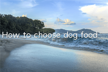 How to choose dog food