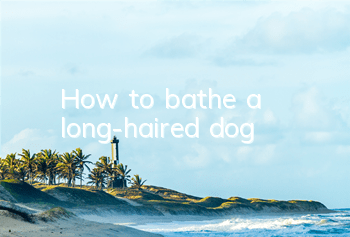 How to bathe a long-haired dog