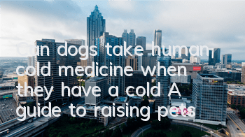 Can dogs take human cold medicine when they have a cold? A guide to raising pets!