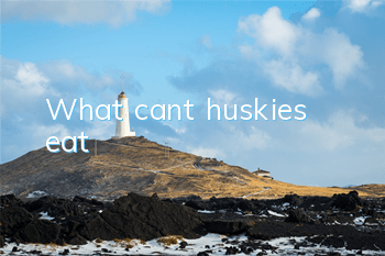 What can’t huskies eat?