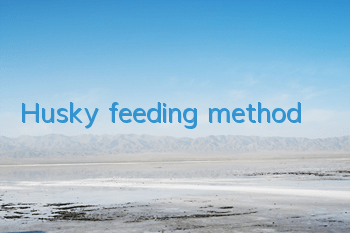 Husky feeding method