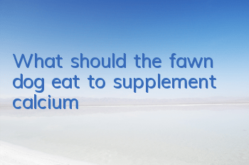 What should the fawn dog eat to supplement calcium?