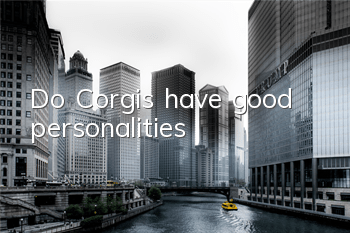 Do Corgis have good personalities?