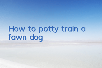 How to potty train a fawn dog