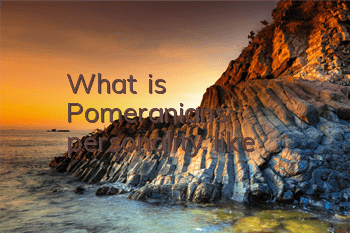 What is Pomeranian's personality like?