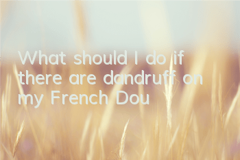 TWhat should I do if there are dandruff on my French Dou?