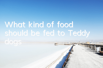 What kind of food should be fed to Teddy dogs?