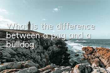 What is the difference between a pug and a bulldog?