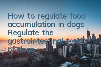 How to regulate food accumulation in dogs? Regulate the gastrointestinal tract of dogs!