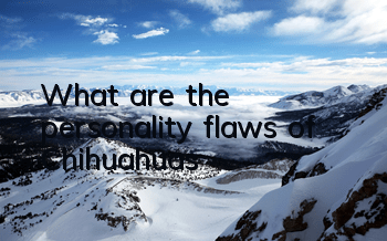 What are the personality flaws of Chihuahuas?