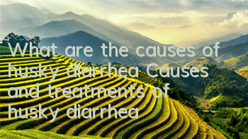 TWhat are the causes of husky diarrhea? Causes and treatments of husky diarrhea!