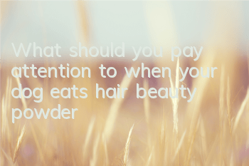What should you pay attention to when your dog eats hair beauty powder?