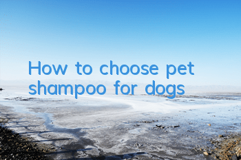 How to choose pet shampoo for dogs