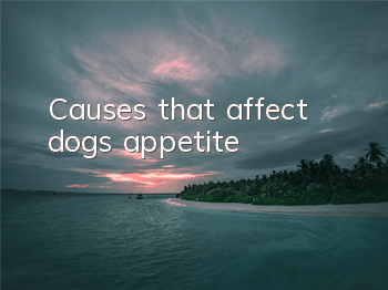 TCauses that affect dogs’ appetite