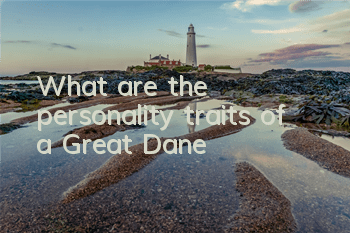 What are the personality traits of a Great Dane?