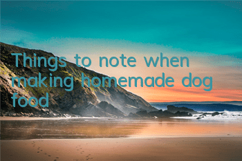 Things to note when making homemade dog food