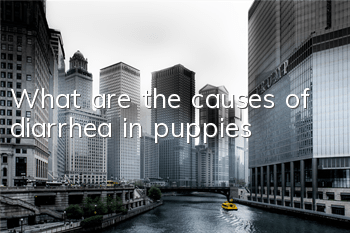 What are the causes of diarrhea in puppies?