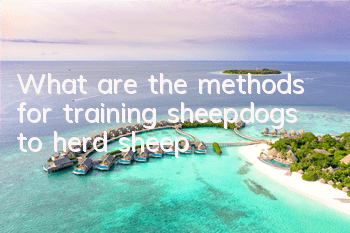 What are the methods for training sheepdogs to herd sheep?