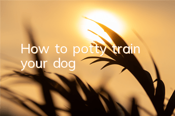 How to potty train your dog
