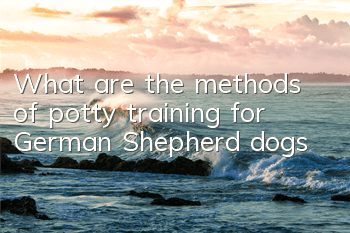 What are the methods of potty training for German Shepherd dogs?