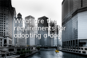 What are the requirements for adopting a dog?