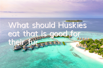 What should Huskies eat that is good for their fur?