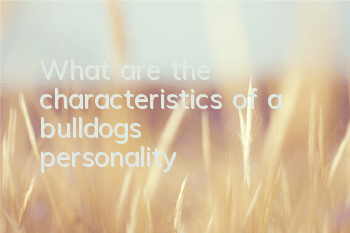 What are the characteristics of a bulldog’s personality?