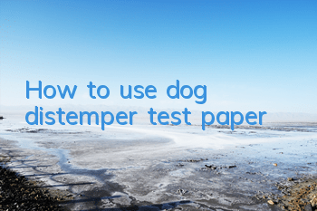 How to use dog distemper test paper