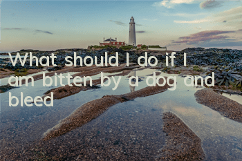 What should I do if I am bitten by a dog and bleed?