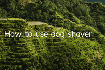 How to use dog shaver