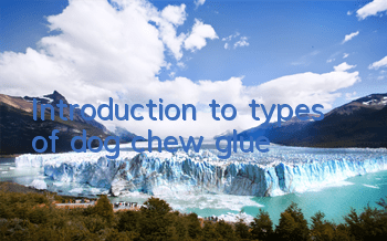 Introduction to types of dog chew glue