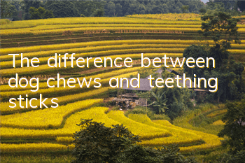 The difference between dog chews and teething sticks