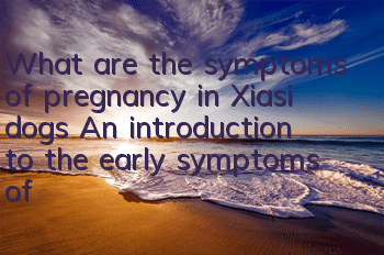 What are the symptoms of pregnancy in Xiasi dogs? An introduction to the early symptoms of pregnancy in Xiasi dogs