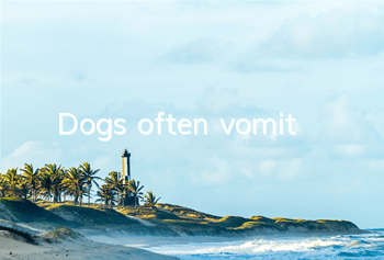TDogs often vomit