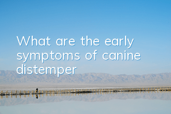 What are the early symptoms of canine distemper?