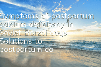 Symptoms of postpartum calcium deficiency in Soviet Borzoi dogs Solutions to postpartum calcium deficiency in Soviet Borzoi dogs
