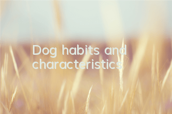 Dog habits and characteristics